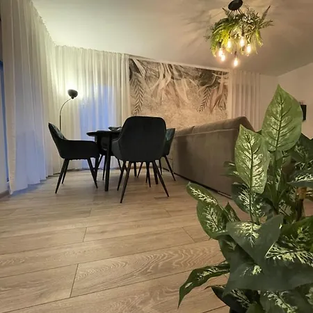 Scandiland Lejlighed Braşov