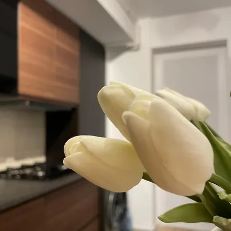 Appartement Scandiland