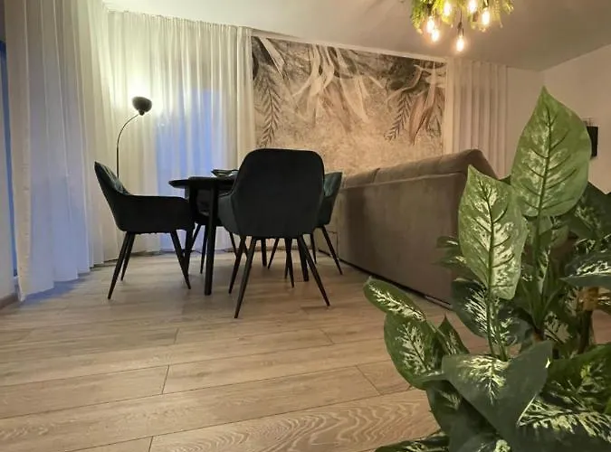 Scandiland Apartment Brasov