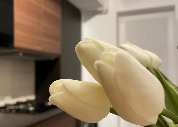 Apartment Scandiland