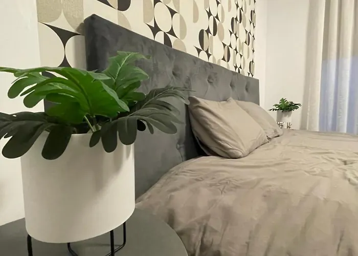 Apartment Scandiland